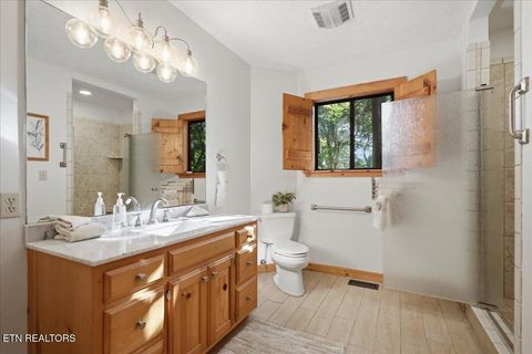 Tiny photo for 739 Stonegate Way, Townsend, TN 37882 (MLS # 1347697)