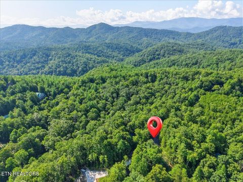 Tiny photo for 739 Stonegate Way, Townsend, TN 37882 (MLS # 1347697)