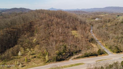 Photo of 1116 Moreland Drive, Kingsport, TN 37664 (MLS # 1335030)