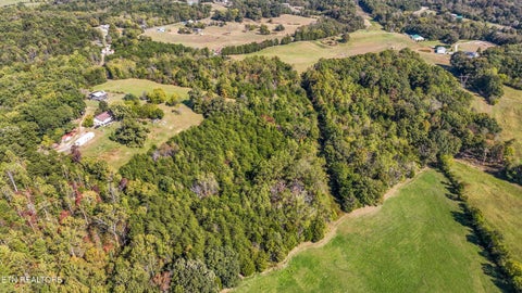 Tiny photo for 744 Rosewood Way, Dandridge, TN 37725 (MLS # 1359834)