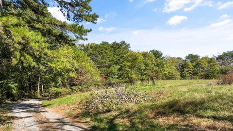 Tiny photo for 744 Rosewood Way, Dandridge, TN 37725 (MLS # 1359834)