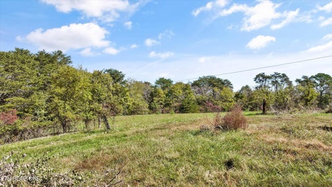 Tiny photo for 744 Rosewood Way, Dandridge, TN 37725 (MLS # 1359834)