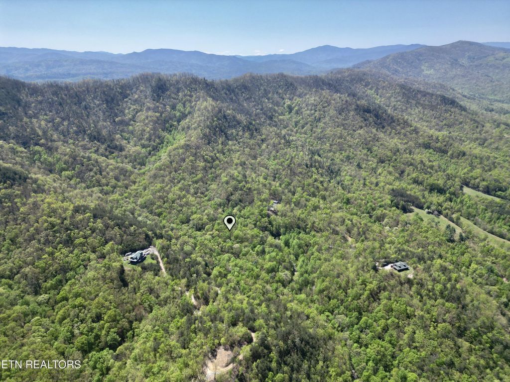 Photo of 981 Critter Valley Way, Newport, TN 37821 (MLS # 1316321)