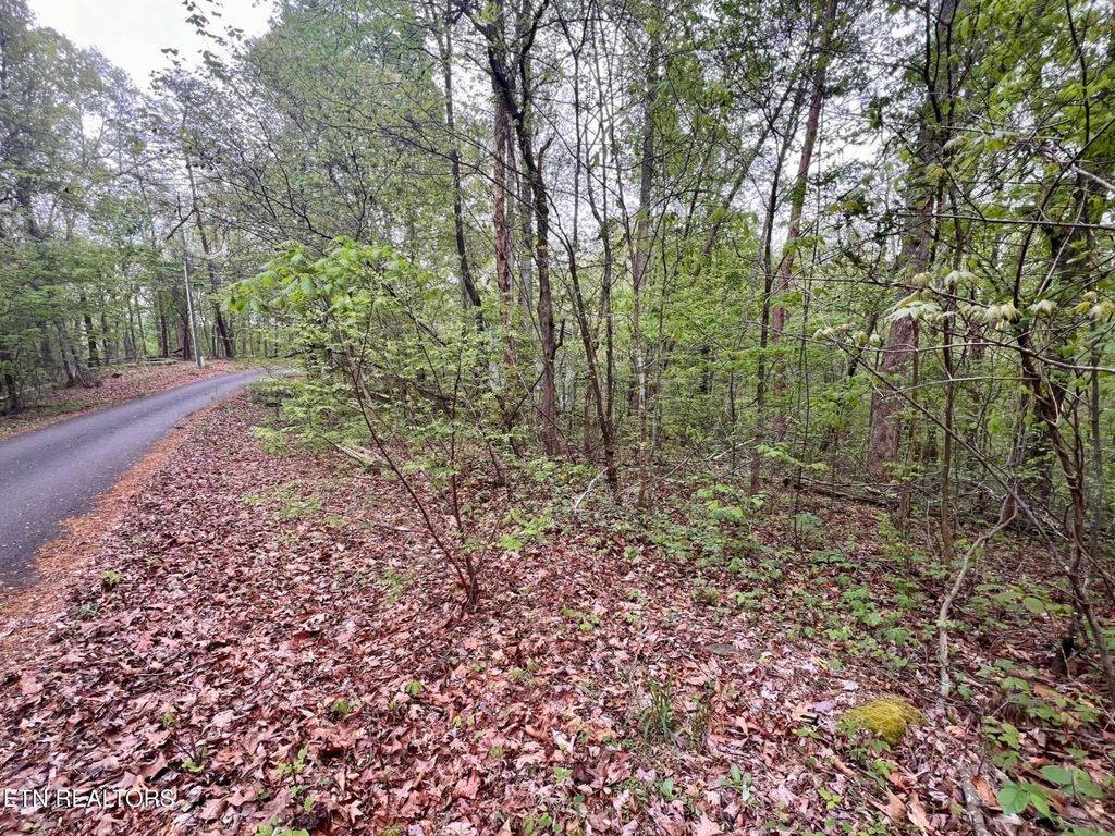 Photo of 7172 Polly Mountain Rd, Madisonville, TN 37354 (MLS # 1335067)