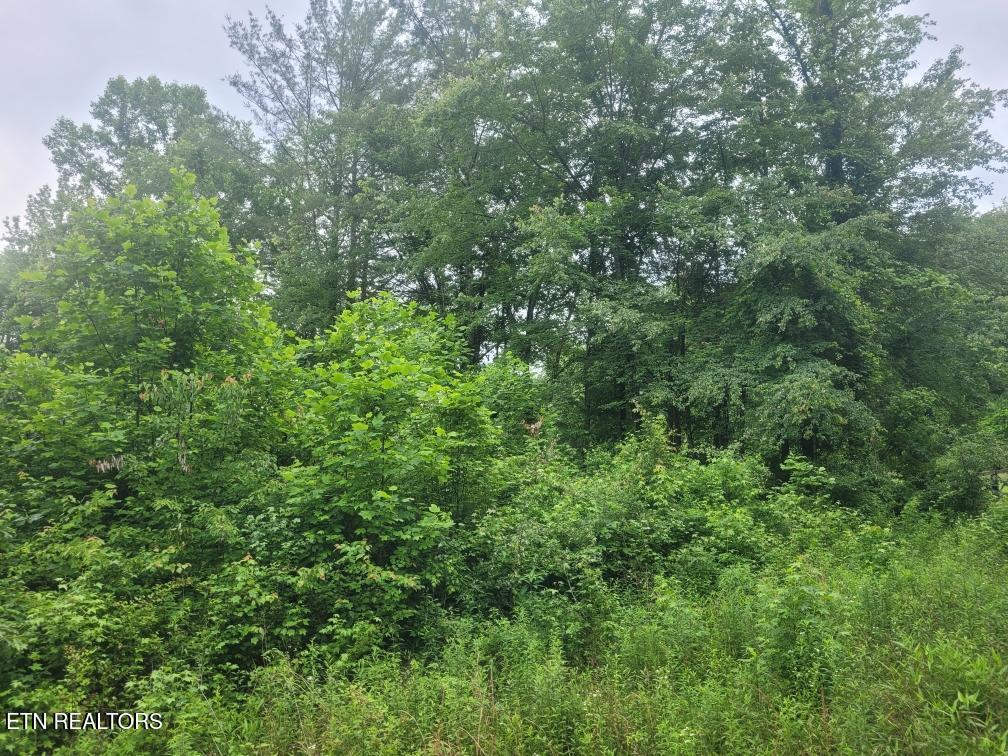 Lot 2R2 Mill Rd