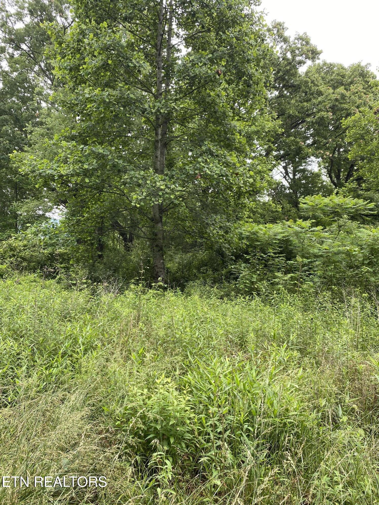 Lot 2R2 Mill Rd