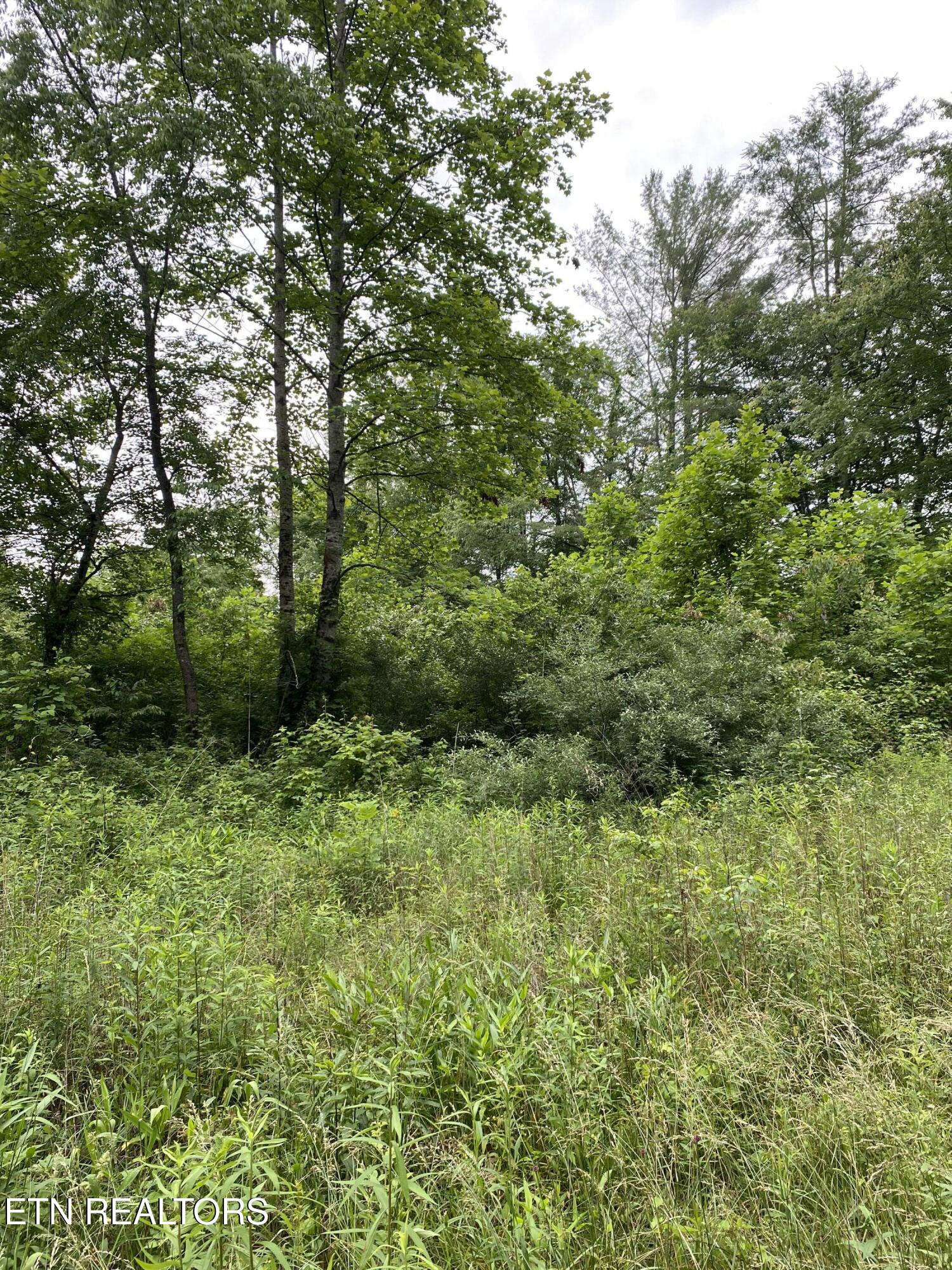 Lot 2R2 Mill Rd
