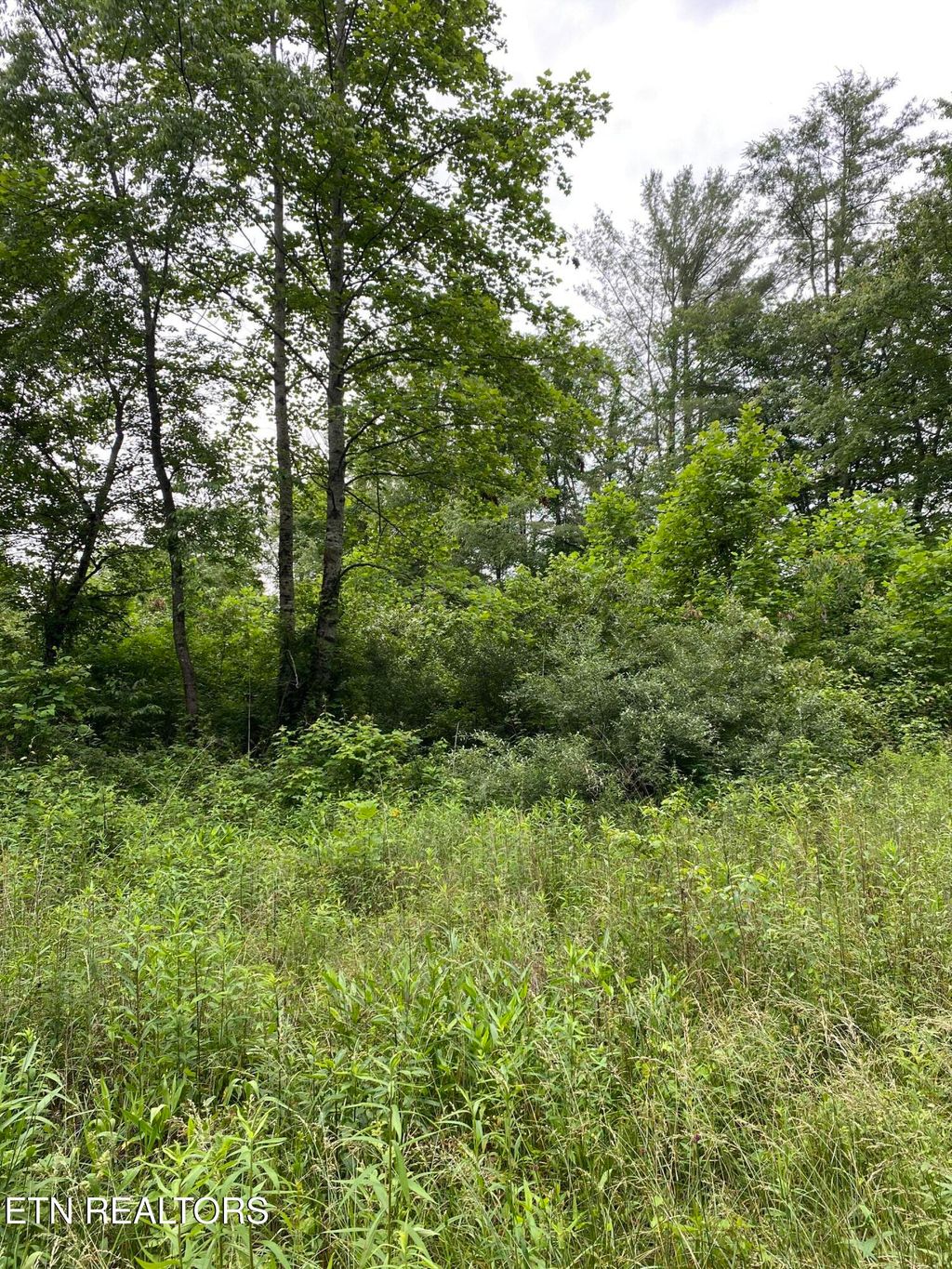 Photo of 22 Mill Rd, Wartburg, TN 37887 (MLS # 1302805)