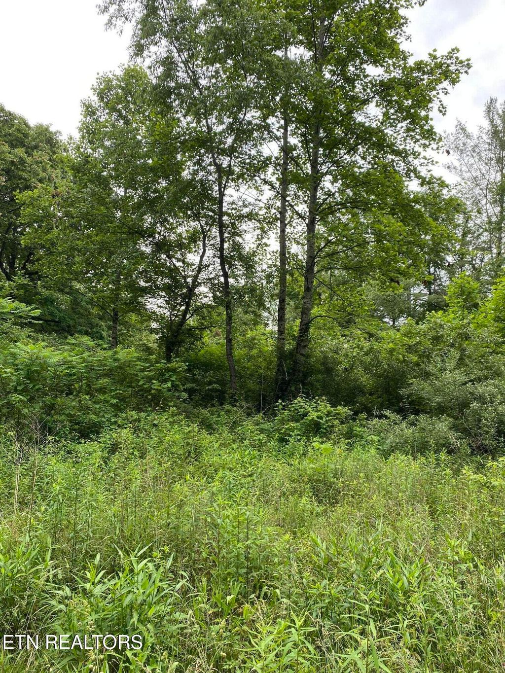 Photo of 22 Mill Rd, Wartburg, TN 37887 (MLS # 1302805)