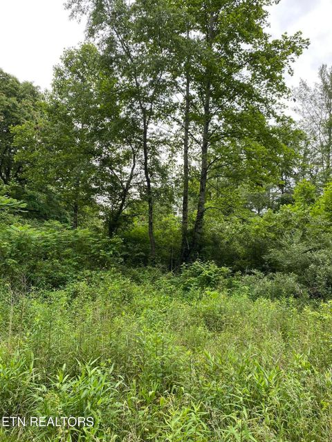 Lot 2R2 Mill Rd Wartburg TN 37887