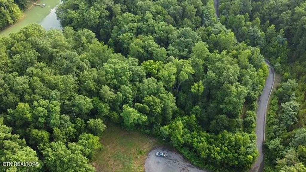 Photo of 9 Woodland Creek Drive, Dandridge, TN 37725 (MLS # 1306721)