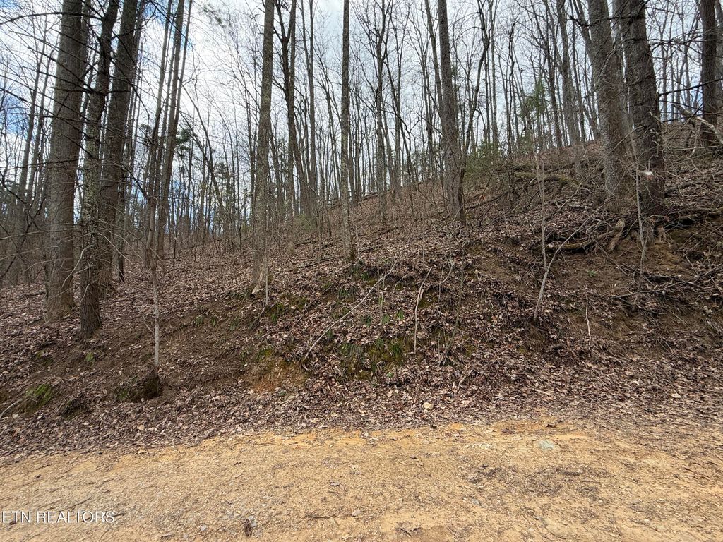 Photo of 401 Reece Hollow Rd, Del Rio, TN 37727 (MLS # 1335708)
