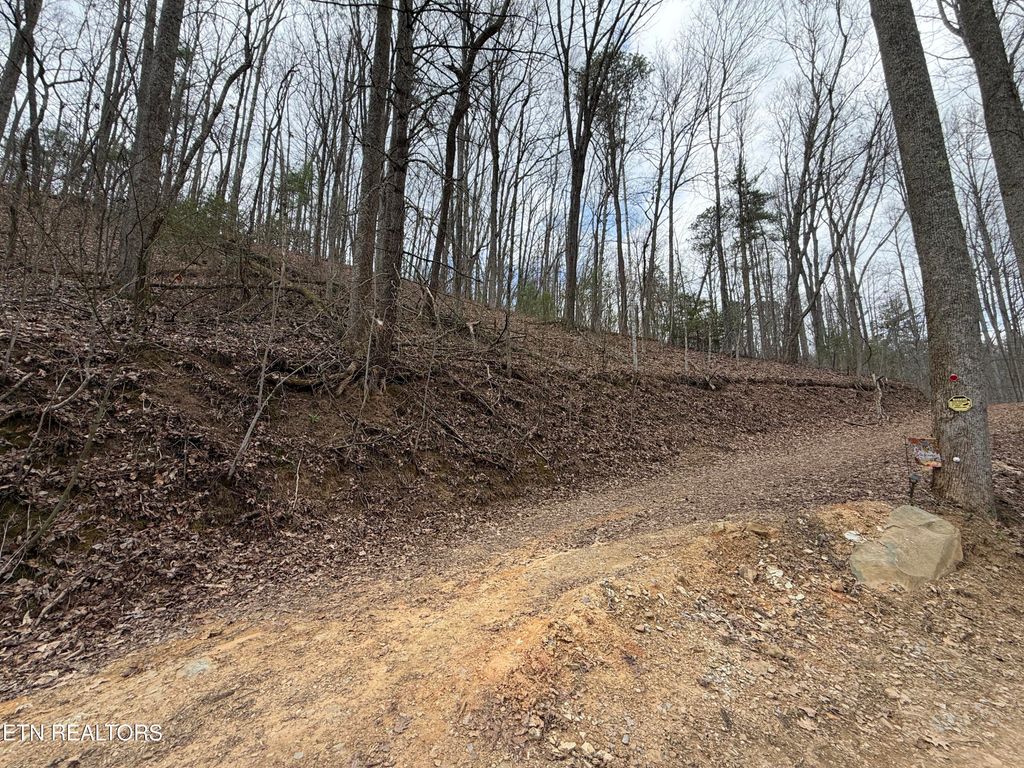 Photo of 401 Reece Hollow Rd, Del Rio, TN 37727 (MLS # 1335708)