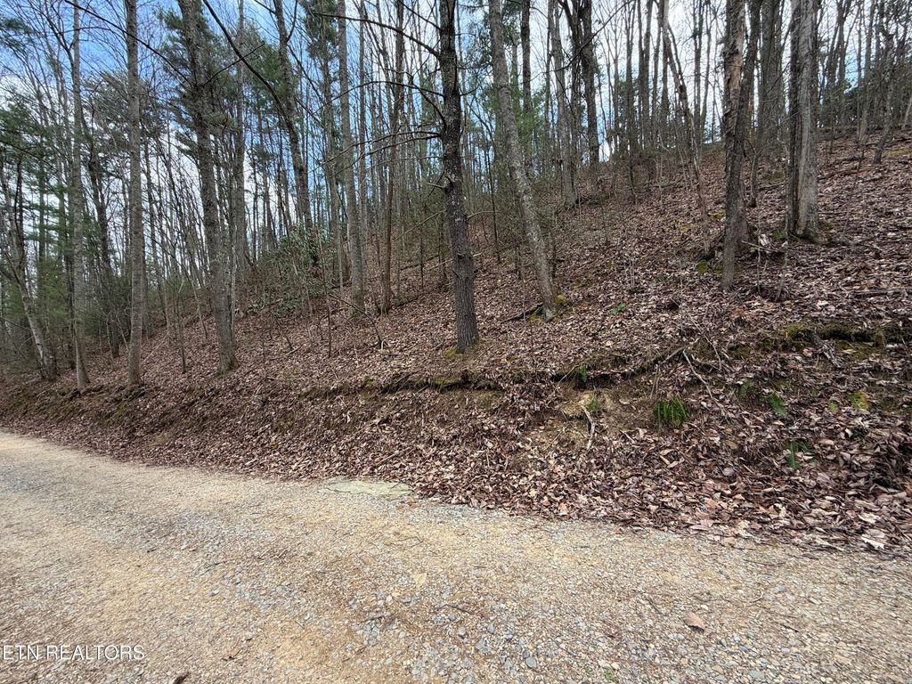 Photo of 401 Reece Hollow Rd, Del Rio, TN 37727 (MLS # 1335708)
