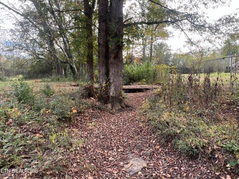 Tiny photo for 160 Hartland Drive, Madisonville, TN 37354 (MLS # 1319798)
