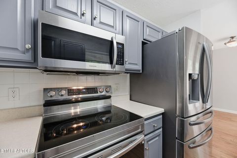Tiny photo for 1424 William Holt Blvd, Sevierville, TN 37862 (MLS # 1340548)