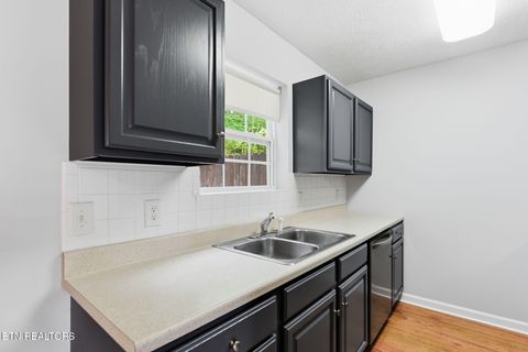Tiny photo for 1424 William Holt Blvd, Sevierville, TN 37862 (MLS # 1340548)