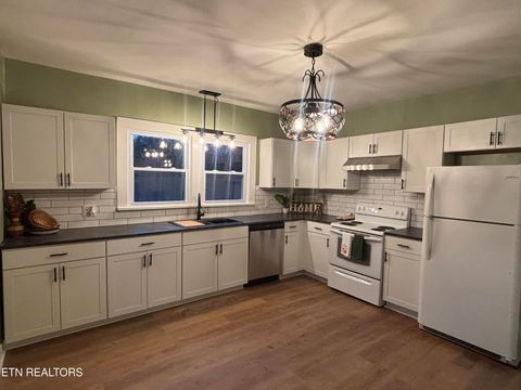 Tiny photo for 205 Old Dandridge Pike, Strawberry Plains, TN 37871 (MLS # 1323533)