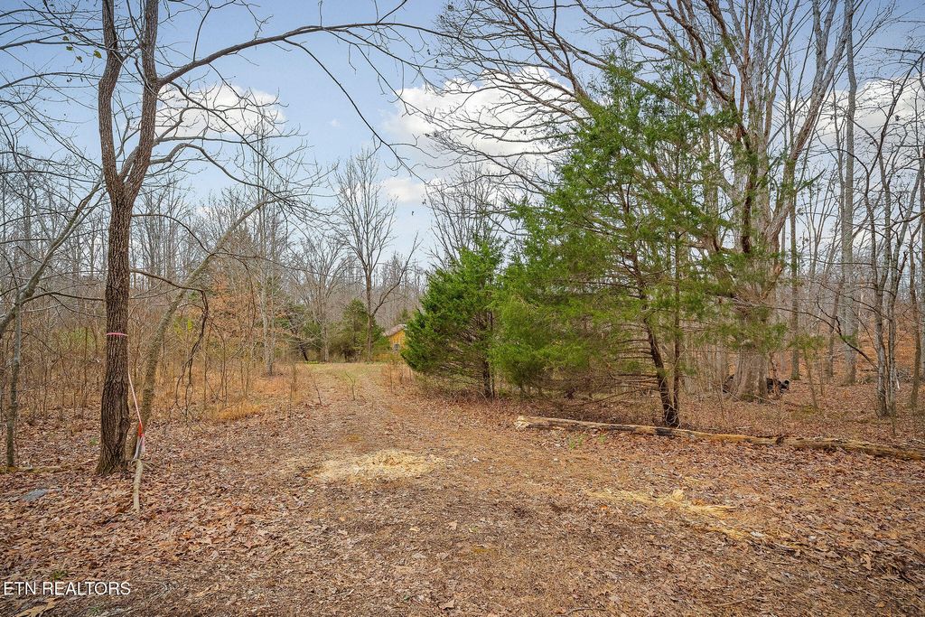 Photo of 3944 Crawford Rd, Silver Point, TN 38582 (MLS # 1334109)