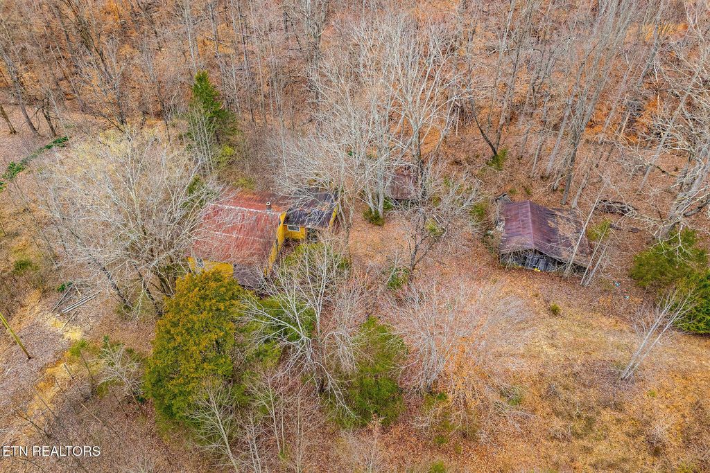 Photo of 3944 Crawford Rd, Silver Point, TN 38582 (MLS # 1334109)