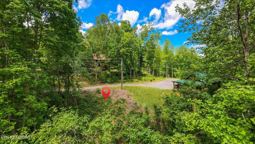 Photo of 11 Lake Drive, Gatlinburg, TN 37738 (MLS # 1301865)