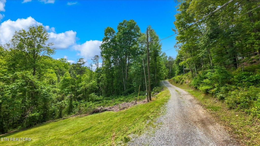 Photo of 11 Lake Drive, Gatlinburg, TN 37738 (MLS # 1301865)