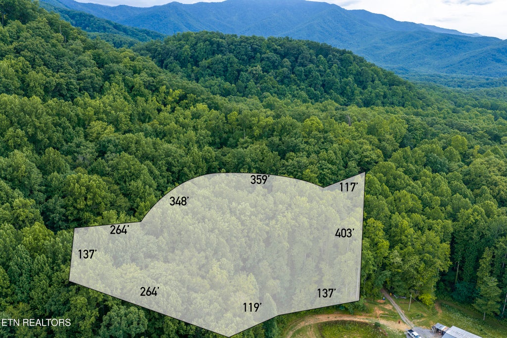 Photo of Emilyville Way, Cosby, TN 37722 (MLS # 1341745)