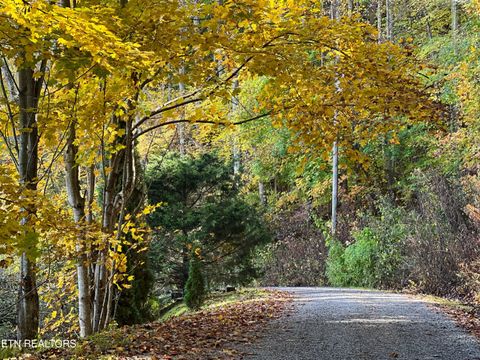 Tiny photo for Emilyville Way, Cosby, TN 37722 (MLS # 1341745)