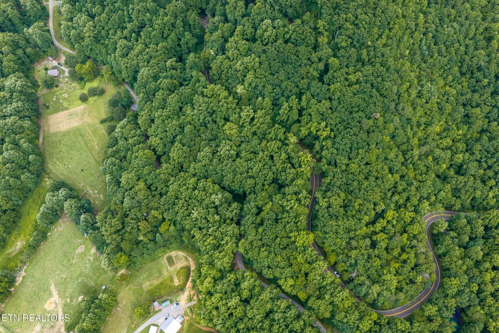 Photo of Emilyville Way, Cosby, TN 37722 (MLS # 1341745)
