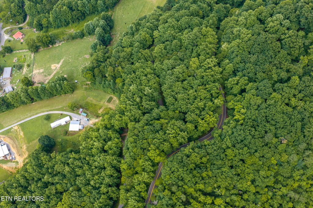 Photo of Emilyville Way, Cosby, TN 37722 (MLS # 1341745)