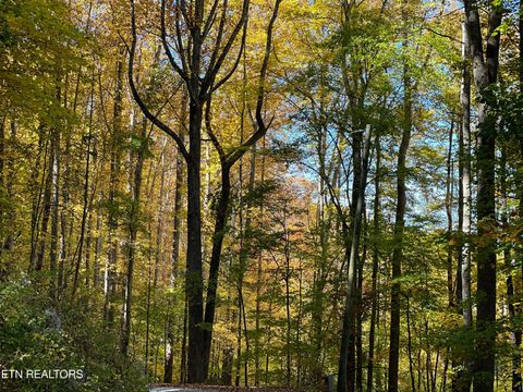Photo of Emilyville Way, Cosby, TN 37722 (MLS # 1341745)