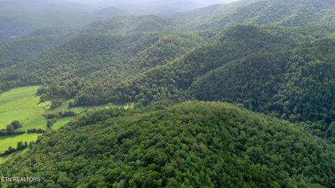 Tiny photo for Bethel Church Rd, Townsend, TN 37882 (MLS # 1317497)