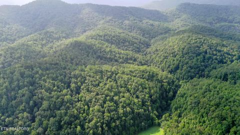 Tiny photo for Bethel Church Rd, Townsend, TN 37882 (MLS # 1317497)