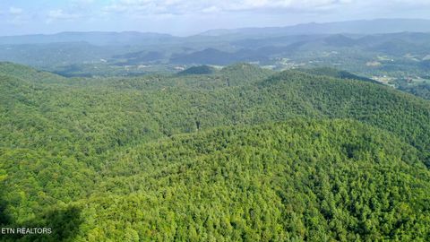 Tiny photo for Bethel Church Rd, Townsend, TN 37882 (MLS # 1317497)