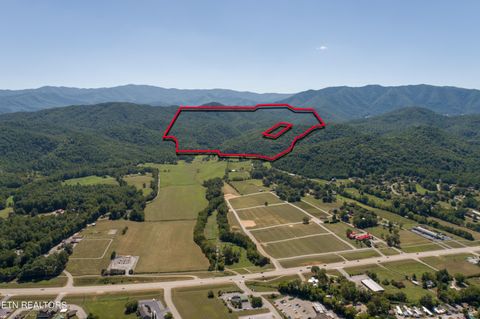 Tiny photo for Bethel Church Rd, Townsend, TN 37882 (MLS # 1317497)