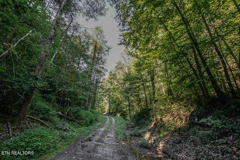 Tiny photo for Bethel Church Rd, Townsend, TN 37882 (MLS # 1317497)