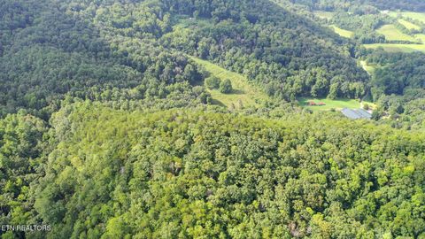 Tiny photo for Bethel Church Rd, Townsend, TN 37882 (MLS # 1317497)