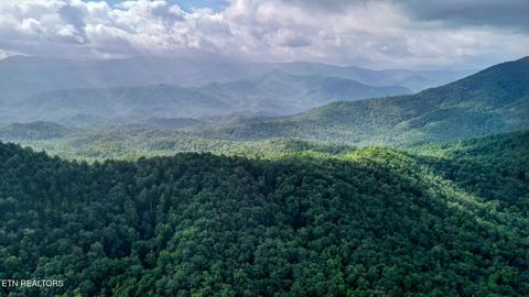 Tiny photo for Bethel Church Rd, Townsend, TN 37882 (MLS # 1317497)