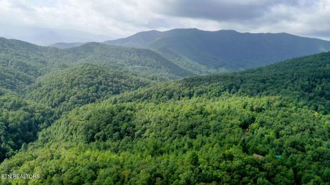 Tiny photo for Bethel Church Rd, Townsend, TN 37882 (MLS # 1317497)