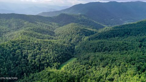 Tiny photo for Bethel Church Rd, Townsend, TN 37882 (MLS # 1317497)