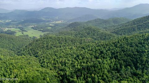 Tiny photo for Bethel Church Rd, Townsend, TN 37882 (MLS # 1317497)