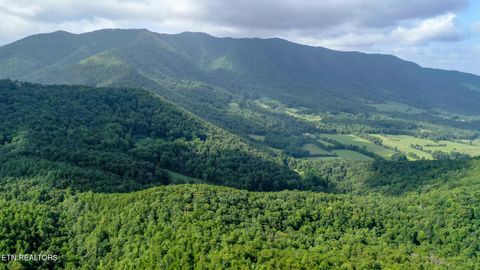 Tiny photo for Bethel Church Rd, Townsend, TN 37882 (MLS # 1317497)