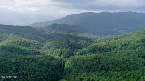 Tiny photo for Bethel Church Rd, Townsend, TN 37882 (MLS # 1317497)