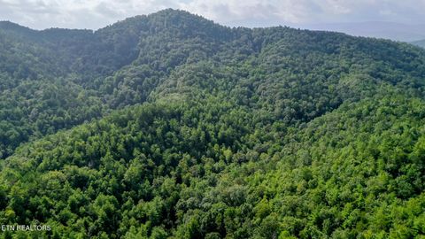 Tiny photo for Bethel Church Rd, Townsend, TN 37882 (MLS # 1317497)