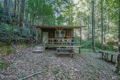 Tiny photo for Bethel Church Rd, Townsend, TN 37882 (MLS # 1317497)