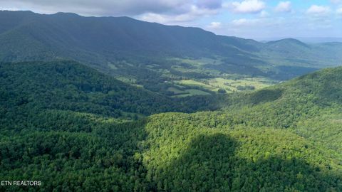 Tiny photo for Bethel Church Rd, Townsend, TN 37882 (MLS # 1317497)