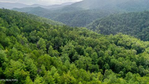 Tiny photo for Bethel Church Rd, Townsend, TN 37882 (MLS # 1317497)