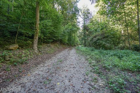 Tiny photo for Bethel Church Rd, Townsend, TN 37882 (MLS # 1317497)