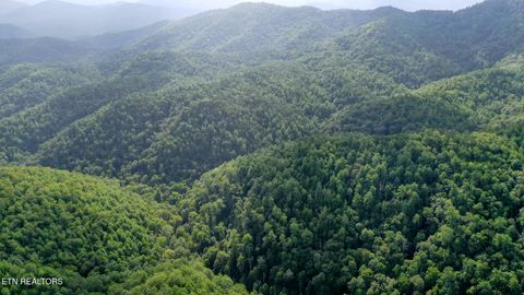 Tiny photo for Bethel Church Rd, Townsend, TN 37882 (MLS # 1317497)