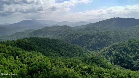 Tiny photo for Bethel Church Rd, Townsend, TN 37882 (MLS # 1317497)